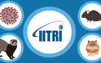 IITRI offering the hACE2 mouse model for COVID-19