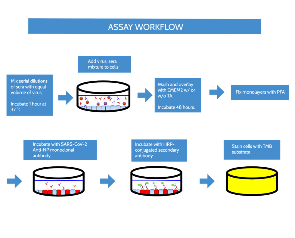 COVID19 Vaccine and Antiviral Development IITRI